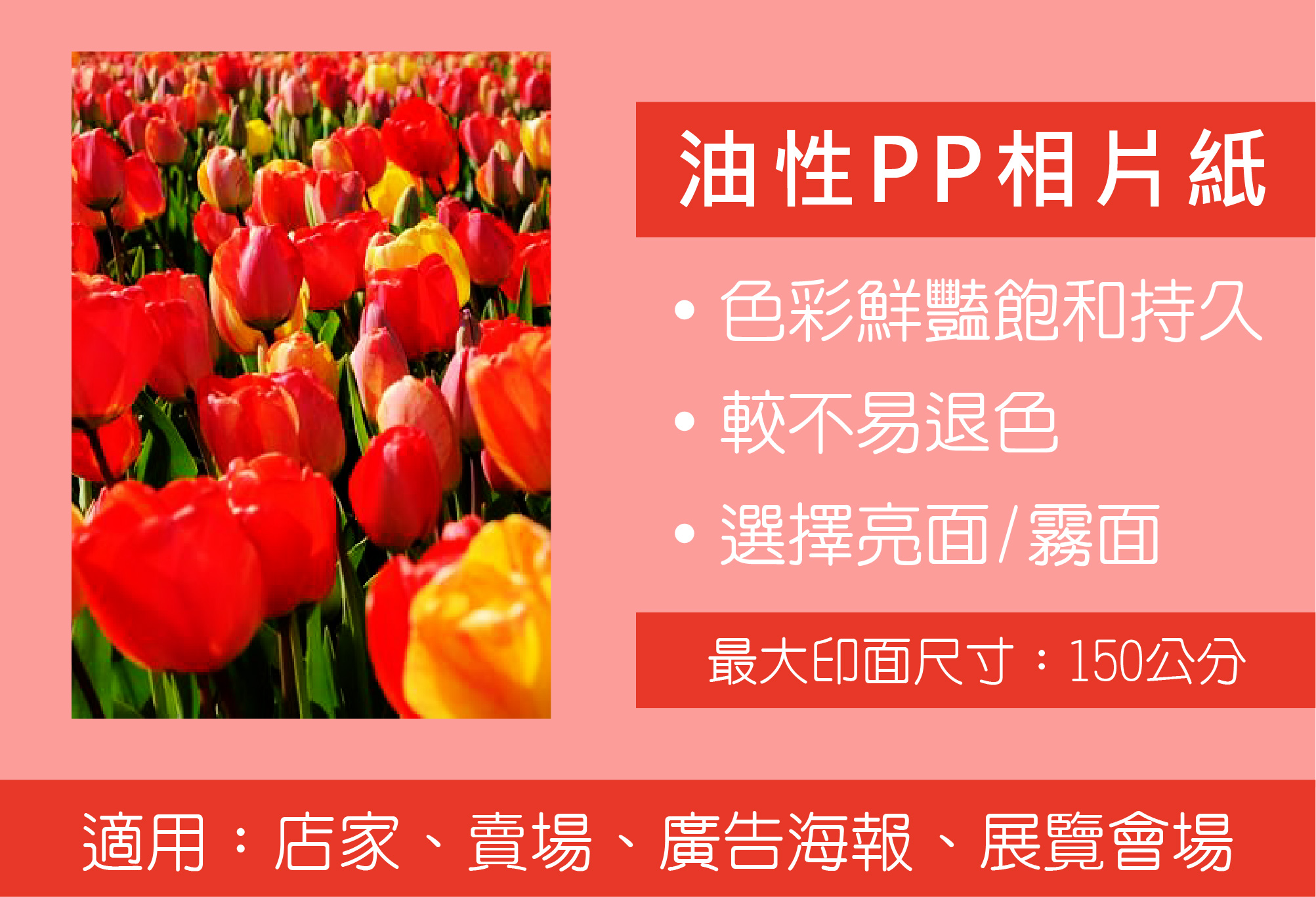 大圖輸出_油性PP相片紙.jpg